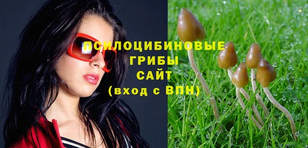 крисы Навашино