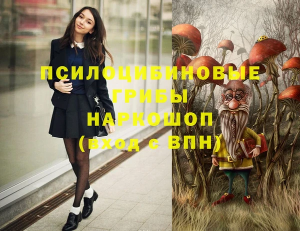 крисы Надым