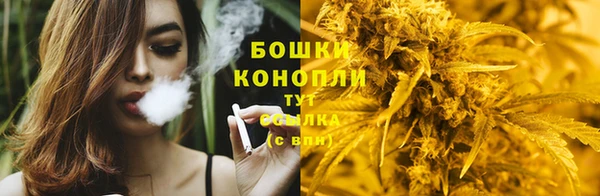 гидра Армянск